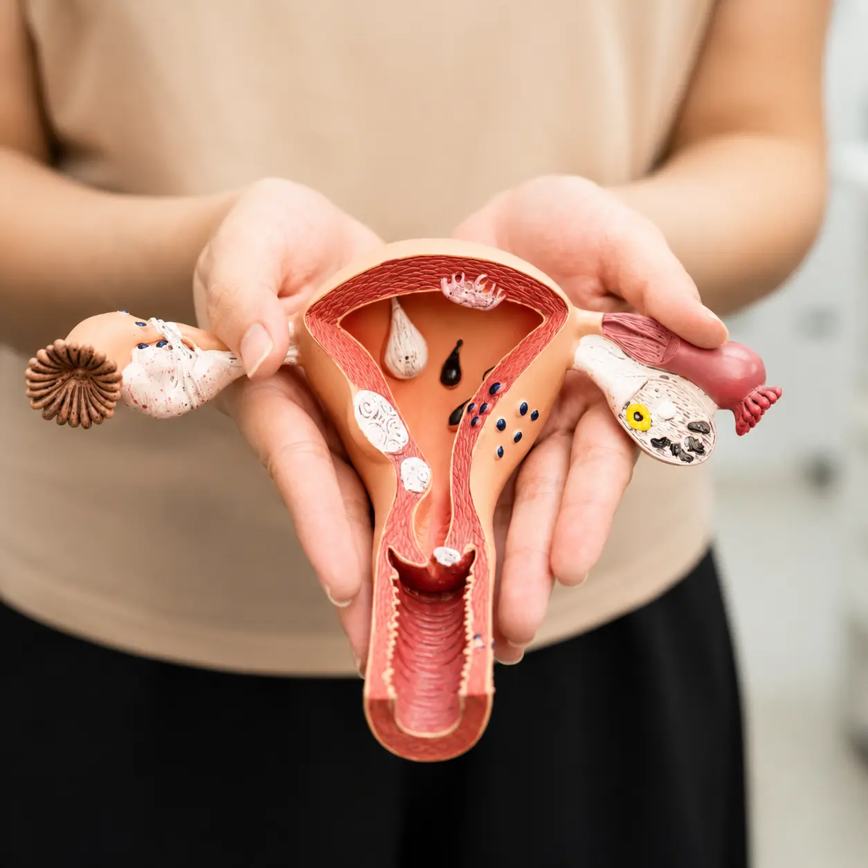 Reproductive Wellness